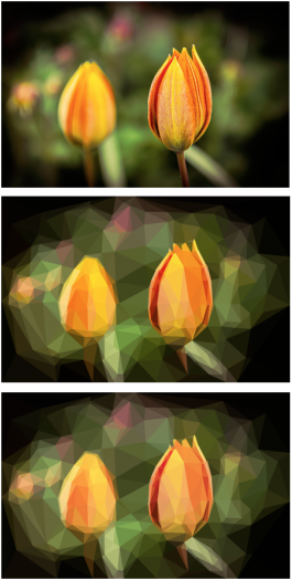 Tulpen im Vergleich: oben das Originalbild, in der Mitte das PNG-Bild, unten das SVG-Bild (Bild: Kristof Zerbe)